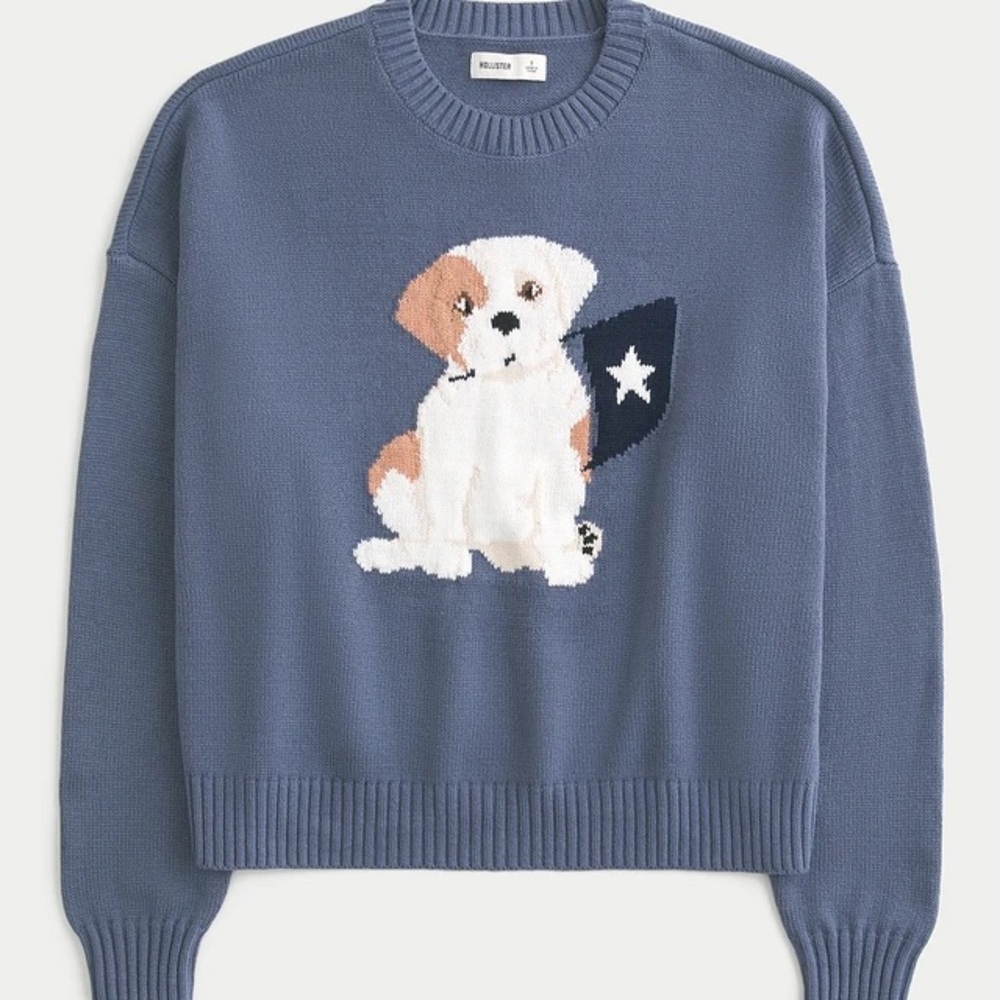 Holister puppy Blue Sweater with Dog Design